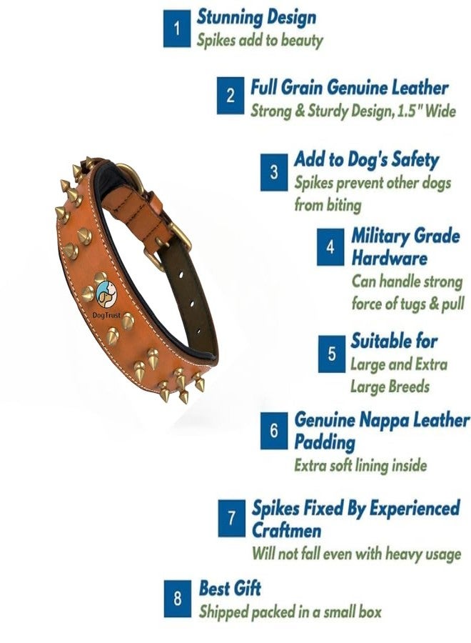 KittuPetSpiked Studded Dog Collar, Big Sharp Spike Dog Collars, Geniune Leather, Neck Protection from Bite, Adjustable, Fit Pitbull Doberman German Shepherd, for Medium Large Dogs - Image 2